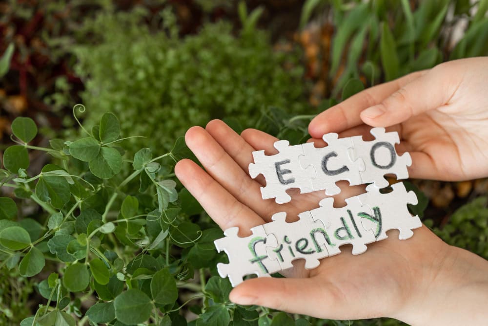 Як екозвички змінюють міста: маленькі дії з великим ефектом